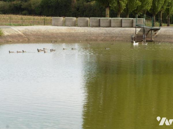 Terrain clos contenant deux étangs tout équipés