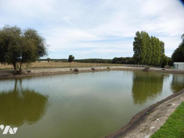 Terrain clos contenant deux étangs tout équipés