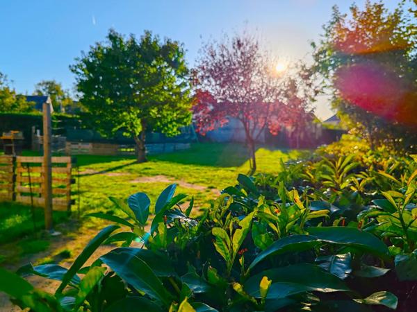 Maison avec vie de plain-pied /  5 Chambres / terrain / grand garage en sous-sol !! A visiter sans tarder !