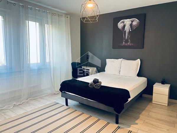 Appartement Haussmanien à deux pas de la gare - Etoile - Annemasse