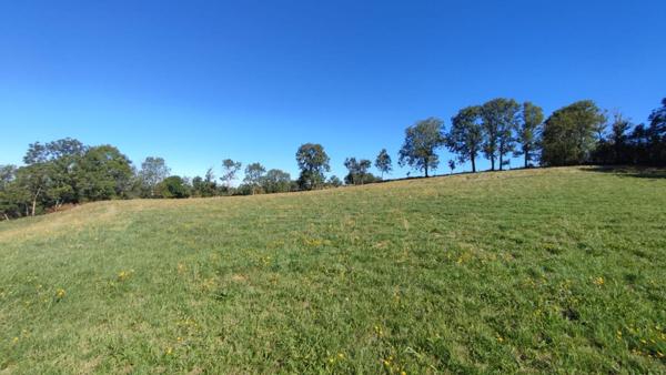 Grange avec beau terrain attenant et vue dégagée, 15400 Trizac