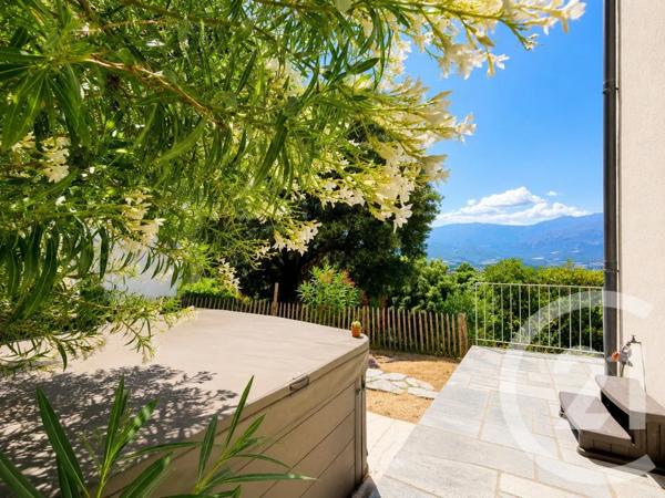 Maison à vendre  5 pièces - 162 m 2   POGGIO D OLETTA  - 202