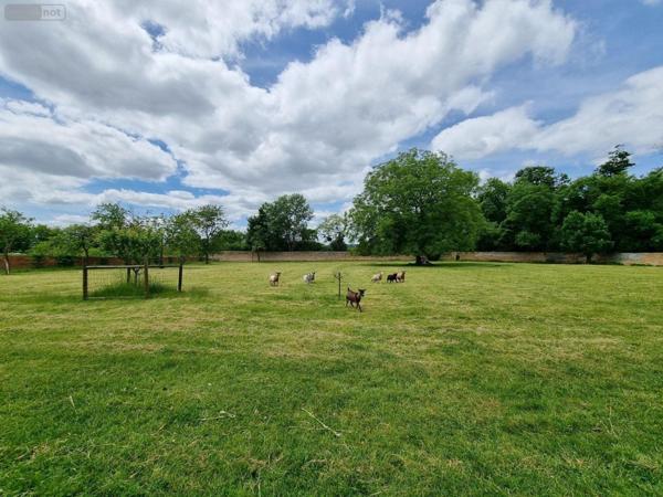 Grande propriété à vendre à Marcigny en Saône-et-Loire (71110), ref : 20322