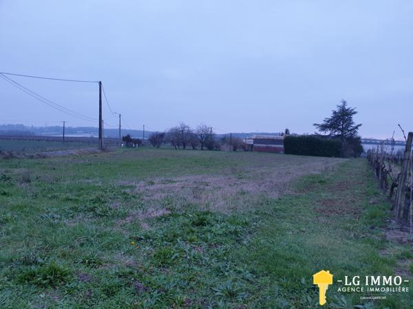 Votre recherche de biens