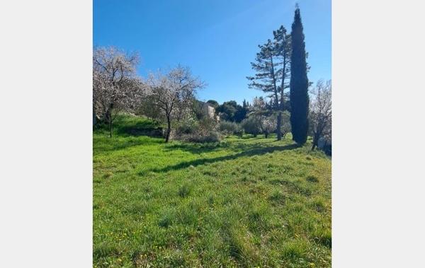 Vente Terrain Constructible Vacqueyras   