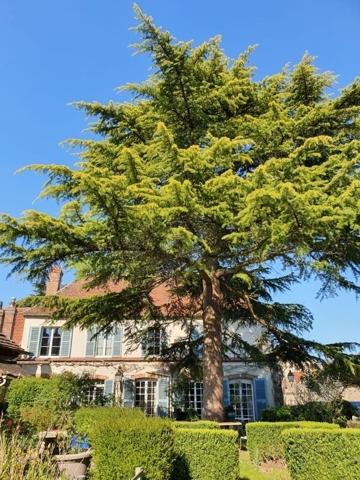 MAISON D'HABITATION CHATEAUNEUF-EN-THYMERAIS 28170