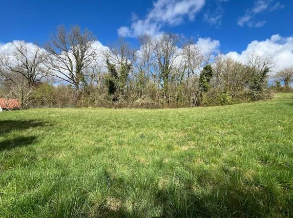 Terrain à vendre |                                       Ribérac |                                          2334 m²