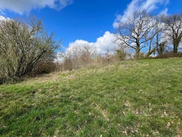 Terrain à vendre |                                       Ribérac |                                          2334 m²