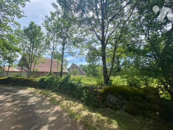 A vendre commune du VIGEAN (CANTAL), dans un hameau calme mais à proximité de la ville de Mauri...