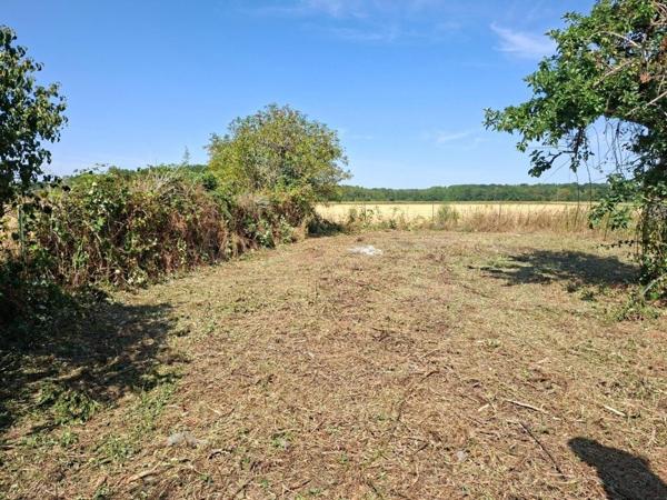 Hangar 225 m² à vendre proche chilleurs-aux-Bois