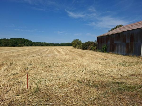 Hangar 225 m² à vendre proche chilleurs-aux-Bois