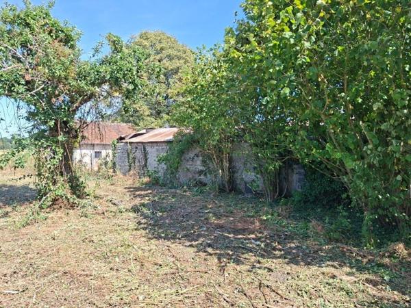 Hangar 225 m² à vendre proche chilleurs-aux-Bois
