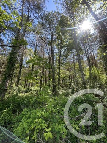 Terrain à vendre  21811 m2 MONTAUBAN - 82