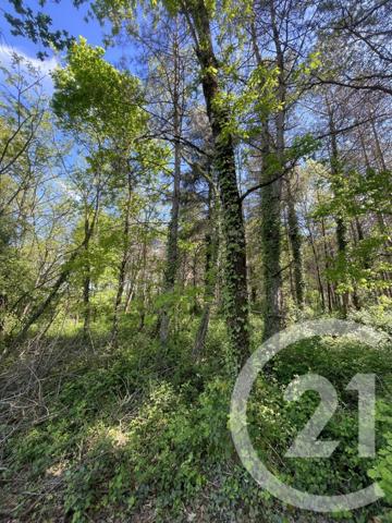Terrain à vendre  21811 m2 MONTAUBAN - 82