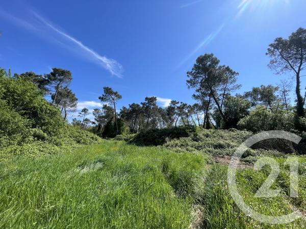 Terrain à vendre  21811 m2 MONTAUBAN - 82