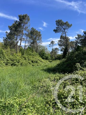 Terrain à vendre  21811 m2 MONTAUBAN - 82