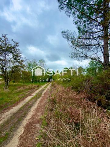 Grand Terrain idéal projet agricole ou élevage chevaux