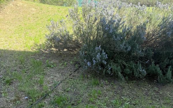 Appartement à vendre    2 pièces • 55,65 m2 Marseille 12