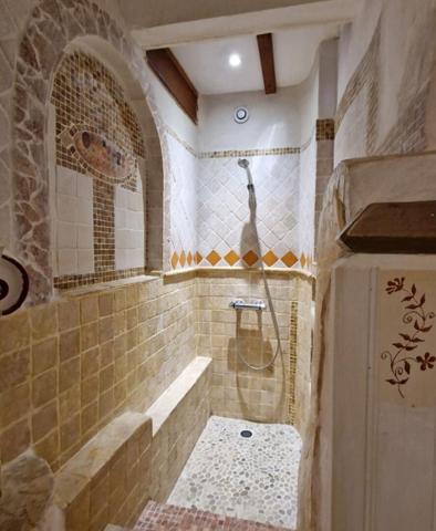 Dpt Corse (20), PROPRIANO hyper centre, à vendre appartement loft T4 de 113 m