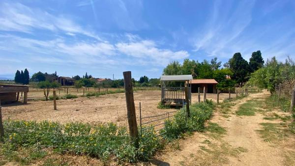 PROPRIÉTÉ AGRICOLE POLYVALENTE AVEC HABITATIONS, CHEPTEL , 3,8 HECTARES