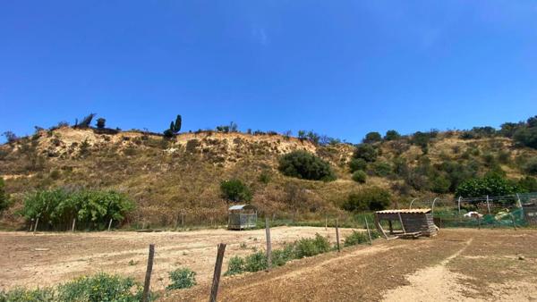 PROPRIÉTÉ AGRICOLE POLYVALENTE AVEC HABITATIONS, CHEPTEL , 3,8 HECTARES