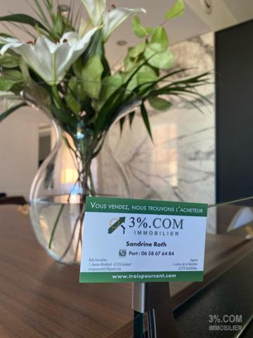 3%.COM- Beau F2 avec terrasse et garage  Mommenheim (67670)