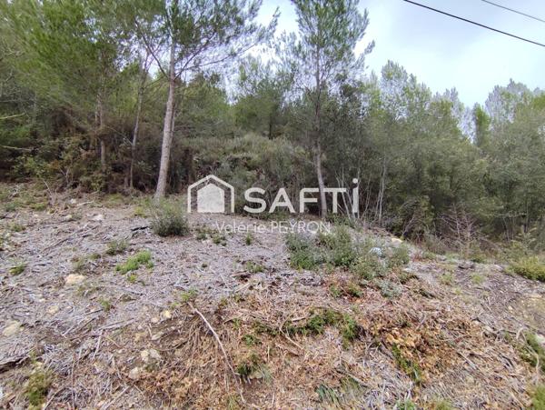 À Vendre : Terrain en Zone Forestière à Mirabeau