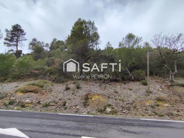 À Vendre : Terrain en Zone Forestière à Mirabeau