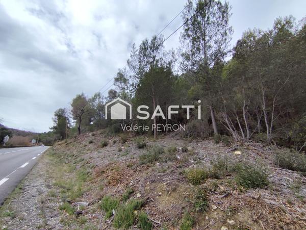 À Vendre : Terrain en Zone Forestière à Mirabeau