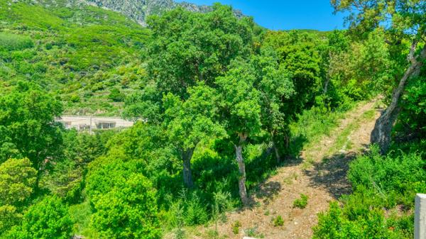 Vente Terrain Constructible Vue Mer Bastia