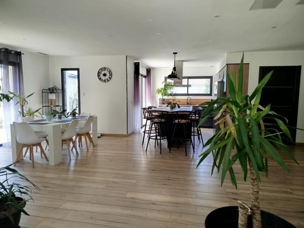 Maison toit plat avec piscine