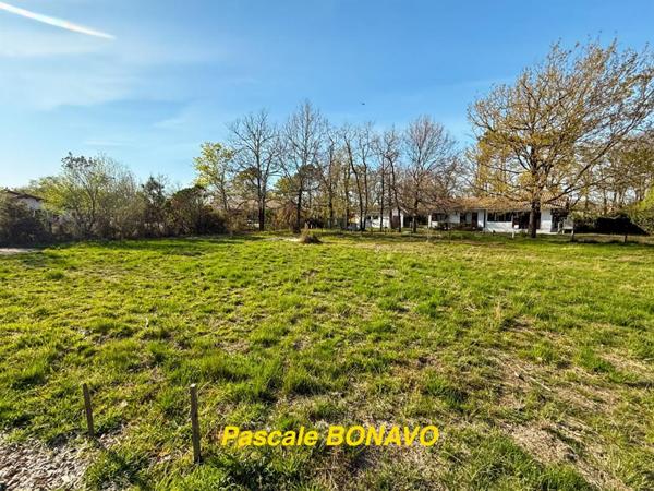 Terrain viabilisé libre de constructeur à Hourtin Lac