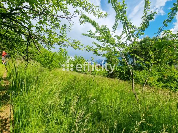 Maison 7 pièces - 115 m²