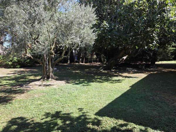 Vente / Villa à Avignon (84000)