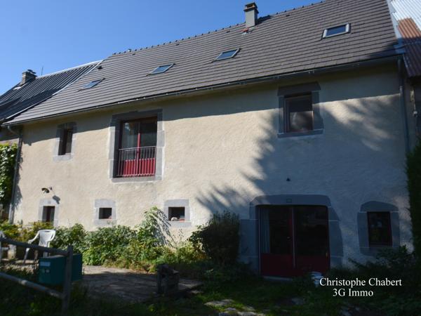 Vente / Maison en pierre
