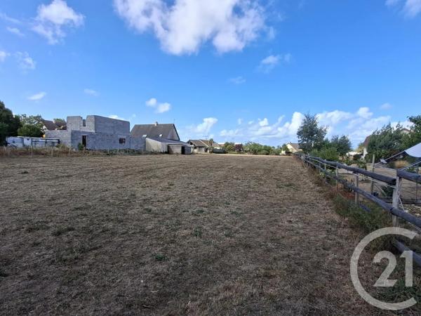 Terrain à vendre  429 m 2   ST PAIR SUR MER  - 50