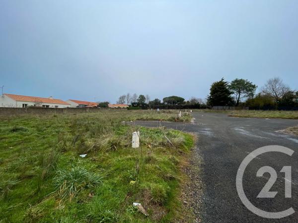 Terrain à vendre  378 m 2   OLONNE SUR MER  - 85