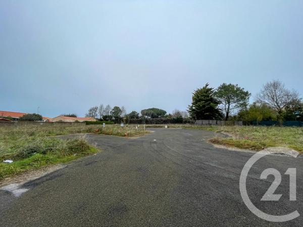 Terrain à vendre  378 m 2   OLONNE SUR MER  - 85
