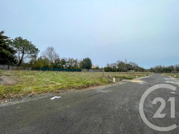 Terrain à vendre  378 m 2   OLONNE SUR MER  - 85