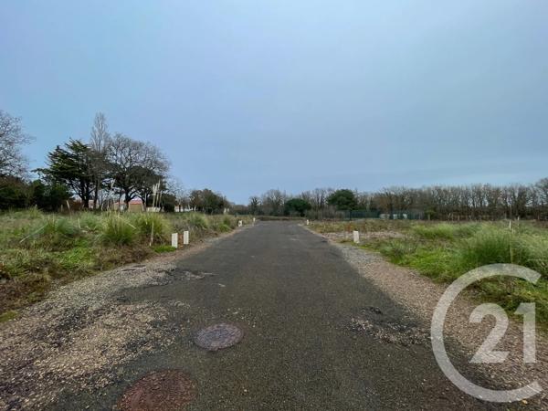 Terrain à vendre  378 m 2   OLONNE SUR MER  - 85