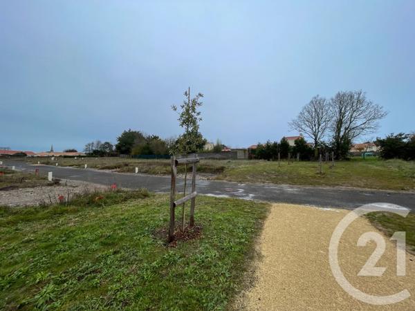 Terrain à vendre  378 m 2   OLONNE SUR MER  - 85