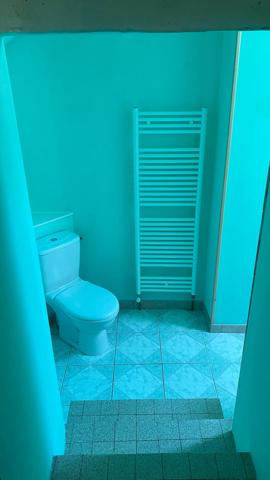 à vendre LOCAL COMMERCIAL AVEC LOGEMENT ET DÉPENDANCES à L'ISLE SUR SEREIN (89)