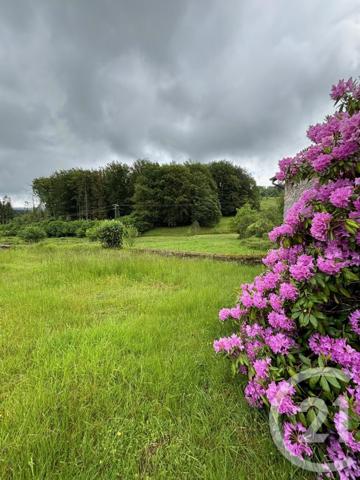 Maison à vendre  7 pièces - 103 m2 JUSSARUPT - 88