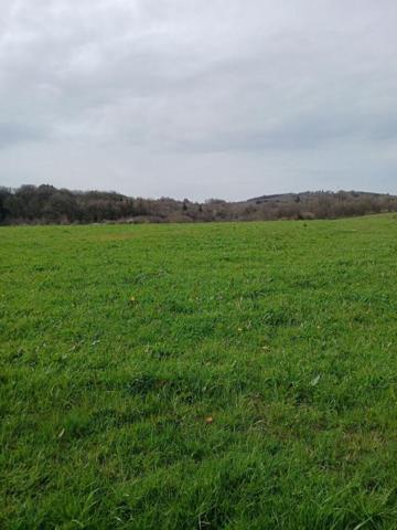 Exploitation agricole de 29 hectares