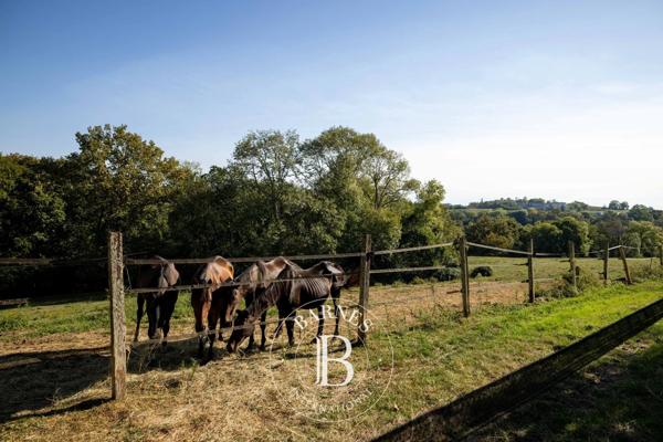 Pau, Propriété 5 Chambres -  361 m² à vendre