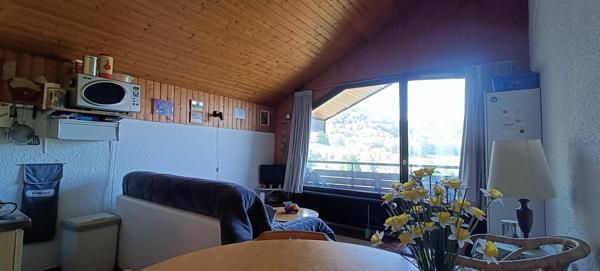 Charmant 2 Pièces de 40m² Sud avec 2 Balcons et Vue Panoramique sur le Lac Léman