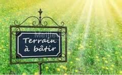 Terrain à bâtir arboré - Lacanau