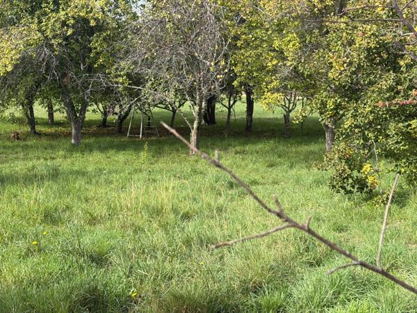 Rare sur la commune, terrain à bâtir viabilisé