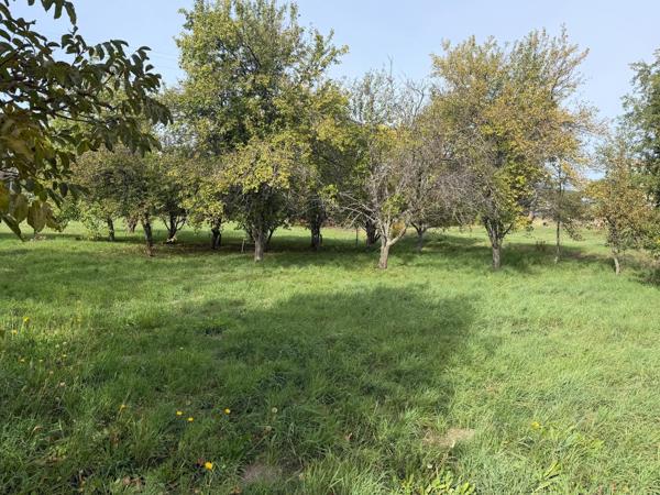 Rare sur la commune, terrain à bâtir viabilisé