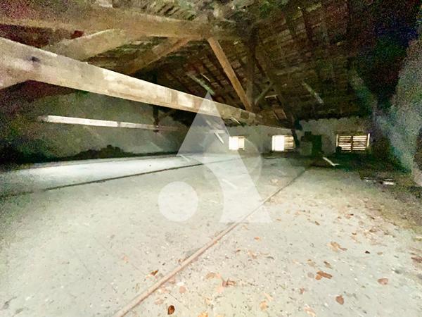 Local d'activité 5 pièces 444 m2